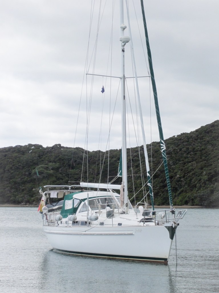 Fat Annie in New Zealand