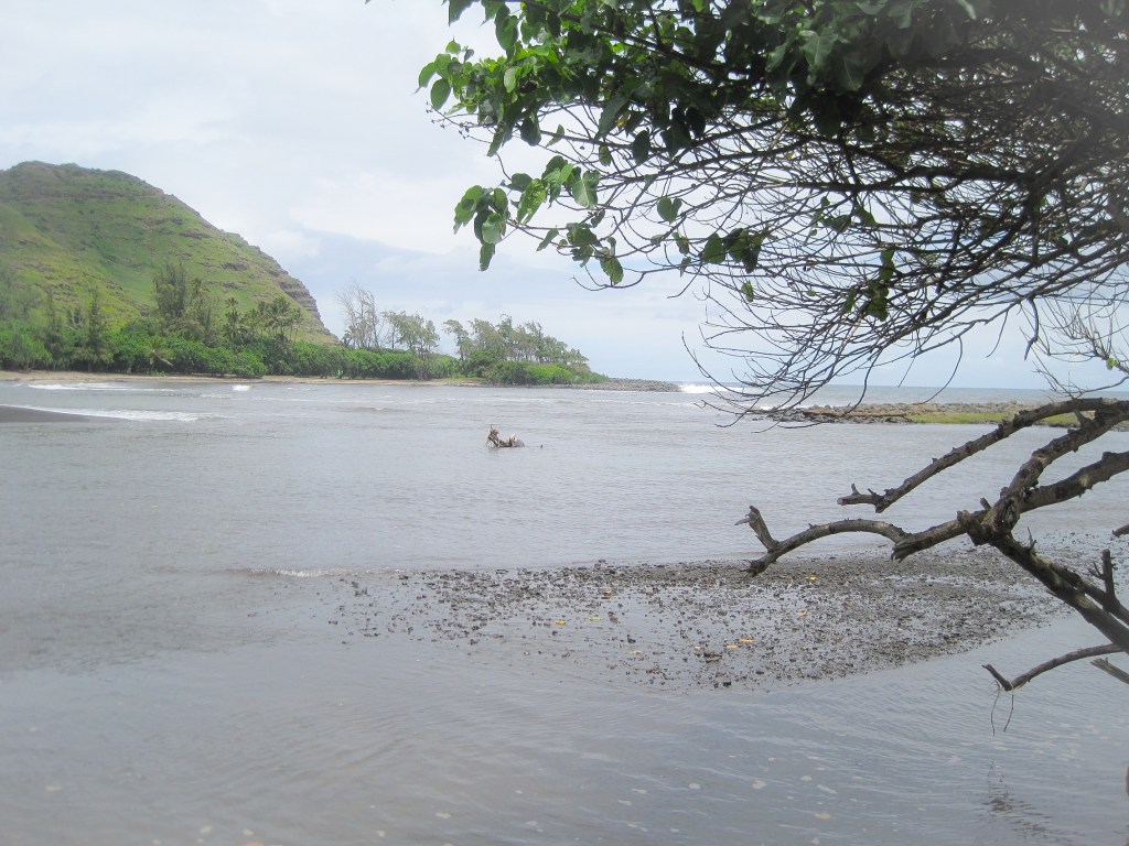 Sänna - The Big Island