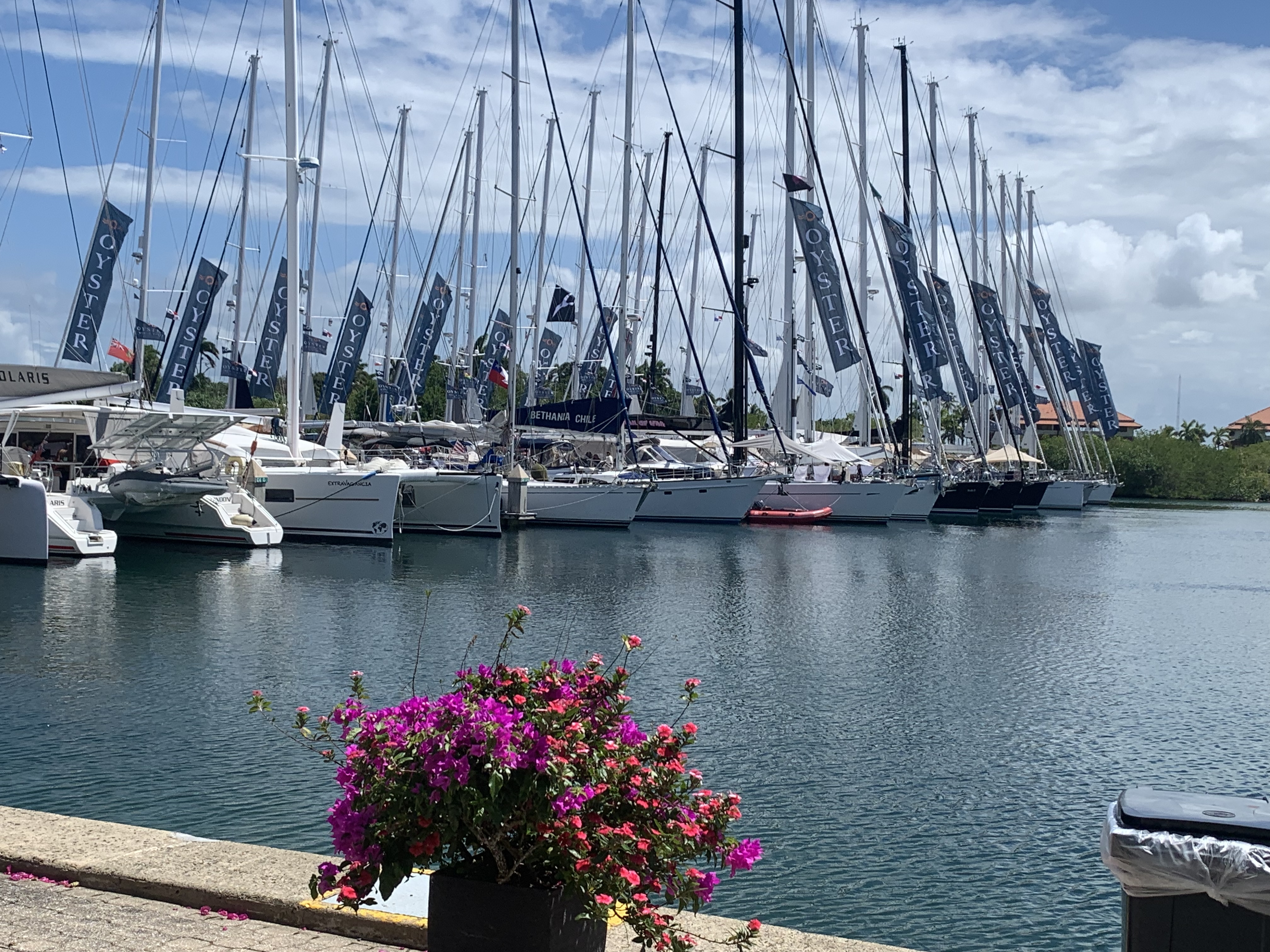 Sänna - Shelter Bay - Oyster Round the world rally